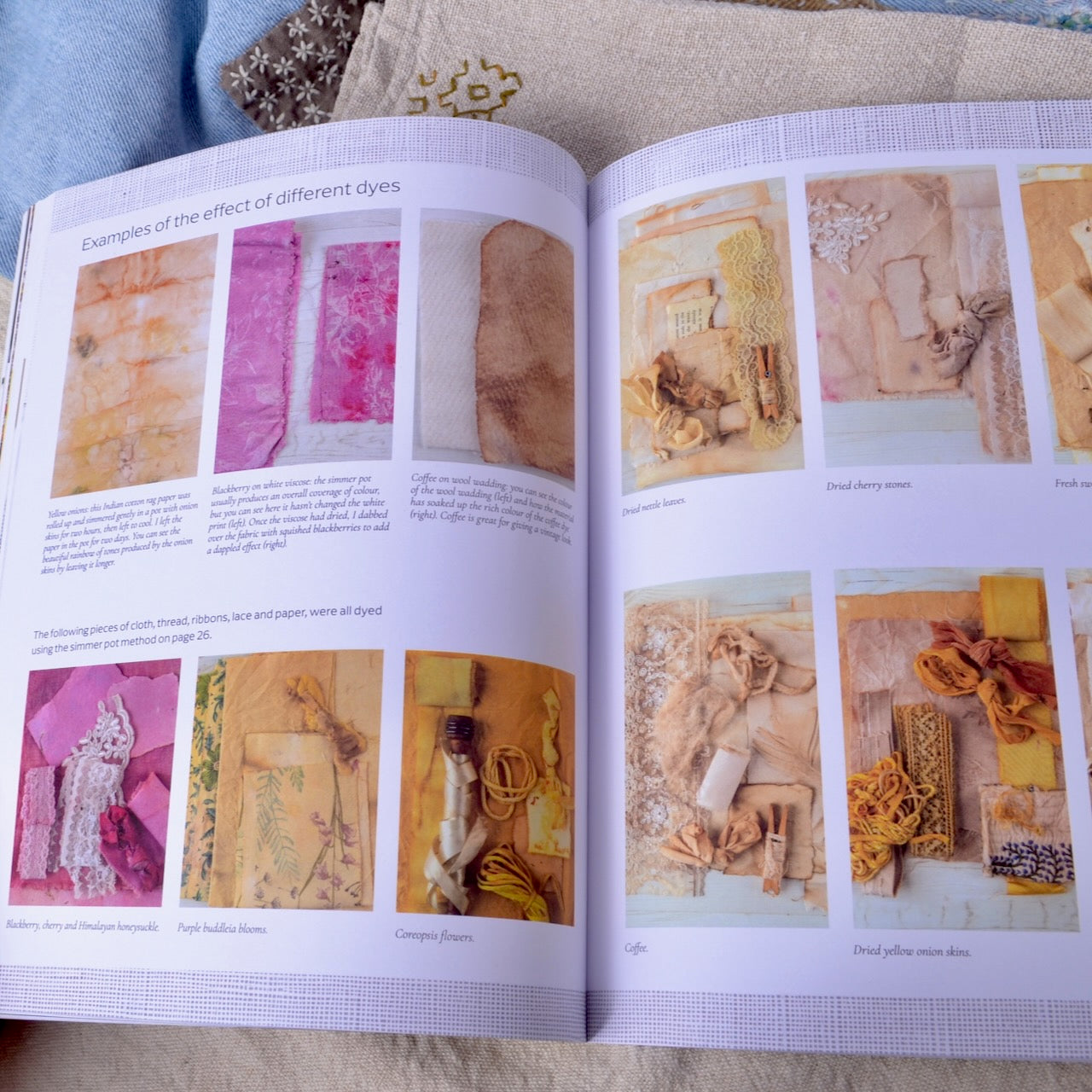 botanical dyes Connecting with Nature Book by Tilly Rose