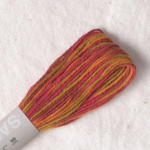 Sashiko Thread - Variegated Short Colour Changes #93