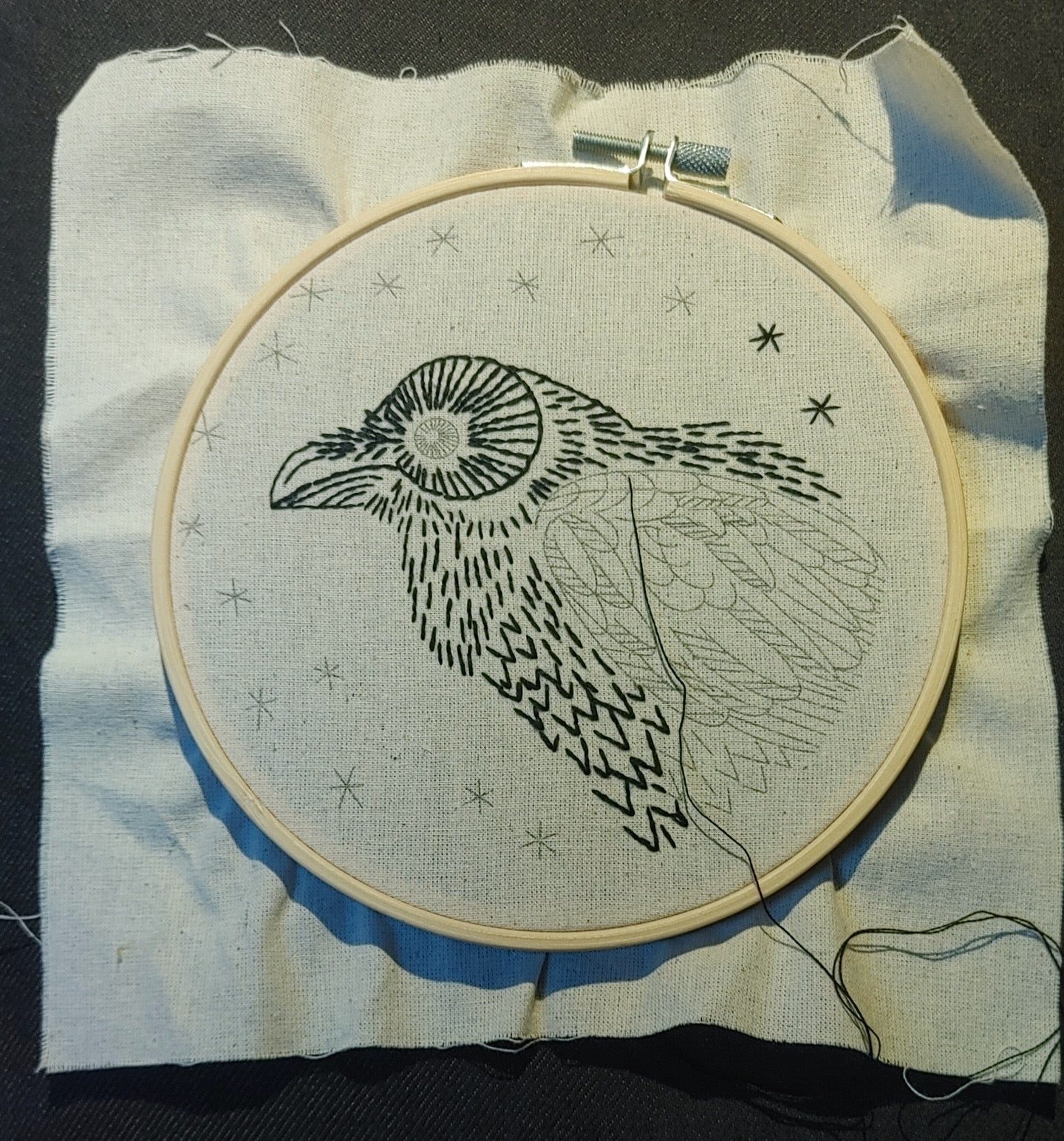 Raven embroidery "Nevermore" from Hook,Line & Tinker kit