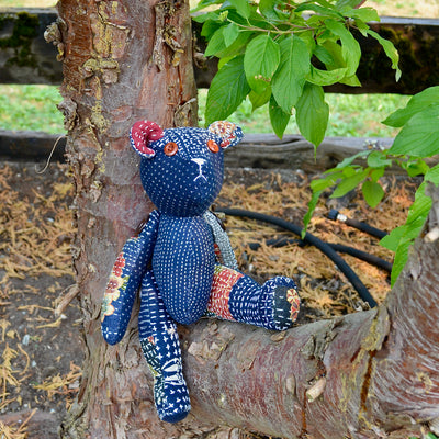 boro bear in a tree